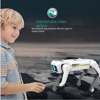 Smart Dog Multifunctional Toy ©